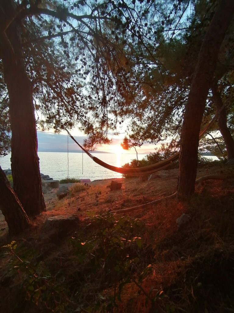 Wellness Sunset
