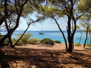 Moni Island