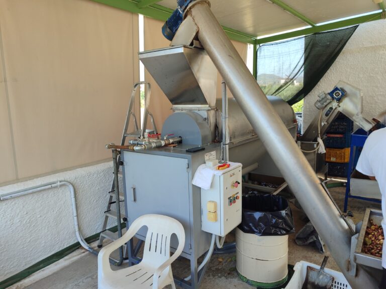 Pistachio cleaning process