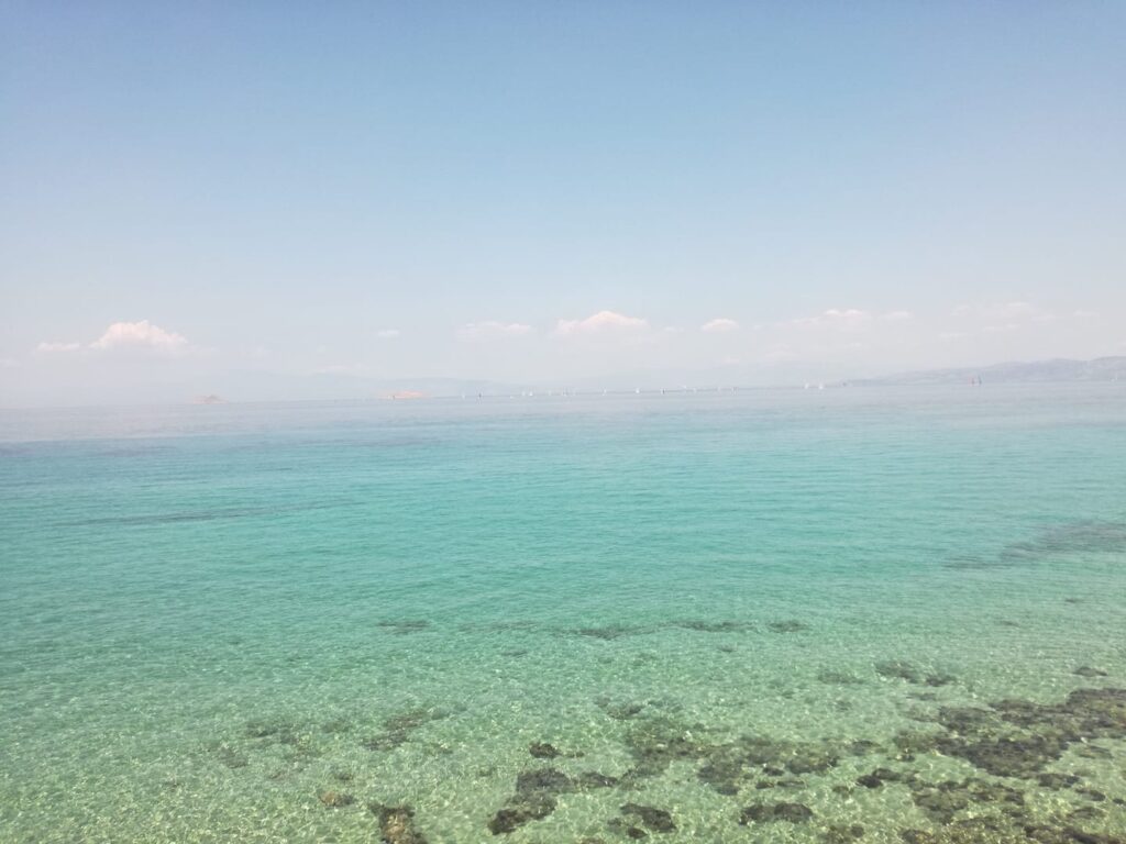Plakakia